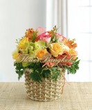 Vibrant Bloom