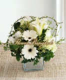 Lovely White