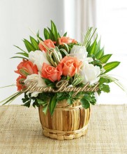 15 Roses