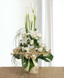 White Elegance