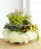 Blooming Garden