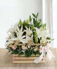 Thailand flowers