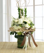 Shades of White