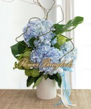 Hydrangea