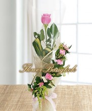 A Pink Rose