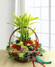 Season of Joy