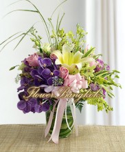 Orchid Delight